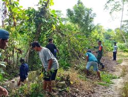 Pupuk Kebersamaan Lewat Karya Bakti : Sinergi Babinsa Koramil 1407-12/Cina Dan Warga Lompu Bersihkan Lahan Perkebunan