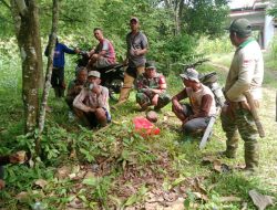 Bincang Hangat Babinsa Koramil 1407-16/Tonra Bersama Petani : Mendengar, Membantu Dan Mengabdi