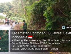 Babinsa Koramil 20/Bontocani Kodim Bone Gotong Royong Bersihkan Bahu Jalan