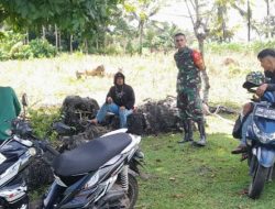 Babinsa Koramil 19/Kahu Kodim 1407/Bone Laksanakan Komsos Humanis Bersama Petani Desa Massila