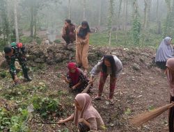 Jaga Warisan Leluhur, Babinsa Koramil 1407-21/Palakka Pimpin Kerja Bakti Di Rumah Adat Desa Usa