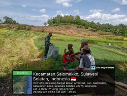 Dukung Ketahanan Pangan, Babinsa Koramil 17/Salomekko Kawal Panen Padi Di Pancaitanah