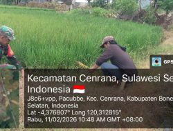 Pastikan Kualitas Pangan, Babinsa Cenrana Kodim 1407/Bone Laksanakan Pendampingan Rutin Di Dusun Panrokoe