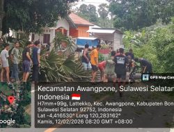 Aksi Cepat Tanggap! Babinsa Koramil 1407-06/Awangpone Bersama Warga Singkirkan Pohon Tumbang Di Desa Jaling