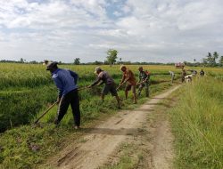 Pastikan Pasokan Air Sawah Aman, Babinsa Koramil 1407-17/Salomekko Dan Warga Kompak Bersihkan Irigasi