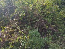 Semangat Gotong Royong Masih Kental, Babinsa Koramil 1407-16/Tonra Dan Warga Pakkaci Kompak Bersihkan Jalan