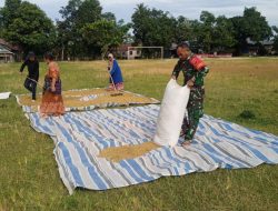 Babinsa Koramil 1407-17/Salomekko Kodim Bone : Kawal Ketahanan Pangan Dari Lahan hingga Proses Penjemuran