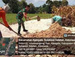 Dukung Produktivitas Petani, Babinsa Koramil 1407-01/Ajangale Pimpin Gotong Royong Jalan Tani