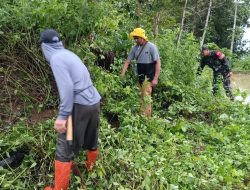 Libas Semak Belukar, Babinsa Koramil 12/Cina Kodim 1407/Bone Pastikan Desa Walenreng Bersih Dan Nyaman
