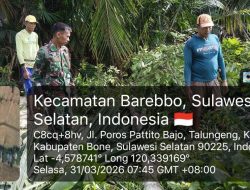 Peduli Terhadap Kebersihan Lingkungan, Babinsa Koramil 11/Barebbo Kerja Bakti Bersihkan Kanan Kiri Jalan Tani