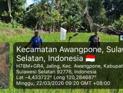 Aksi Nyata Babinsa Awangpone Kodim 1407/Bone : Bahu Membahu Jaga Ketahanan Pangan Di Desa Jaling