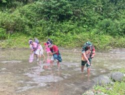 Optimalkan Musim Tanam, Babinsa Koramil 1407-08/Lamuru Kodim Bone Kawal Langsung Penanaman Padi Di Desa Tellangkere