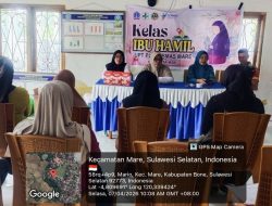 TNI Peduli Kesehatan! Intip Aksi Babinsa Koramil 1407-15/Mare Kodim Bone Di Kelas Ibu Hamil Desa Mario