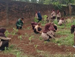 Bahu-Membahu Di Waetuwo : Momen Kompak Babinsa Koramil 1407-18/Kajuara Dan Siswa SMPN 2 Kajuara Bersihkan Lingkungan