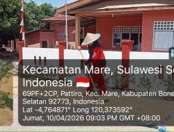 Dukung Pasca Panen, Babinsa Koramil 1407-15/Mare Bantu Proses Penjemuran Padi Warga