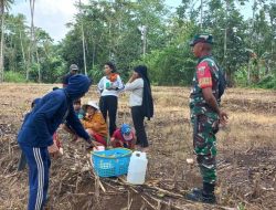 Babinsa Koramil 1407-10/Ponre Laksanakan Komsos Guna Memantau Perkembangan Situasi Di Desa Tellu Boccoe