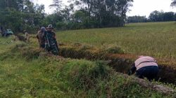 Kunci Sukses Panen, Babinsa Koramil 12/Cina Kodim 1407/Bone Normalisasi Saluran Air Bersama Petani