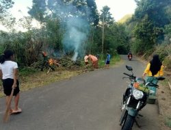 Cegah Jalan Kumuh, Babinsa Koramil 1407-20/Bontocani Ajak Warga Kompak Berantas Rumput Liar Dan Sampah