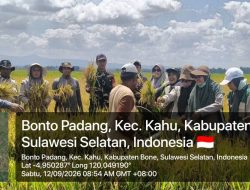Dampingi Ubinan Padi Sawah, Babinsa Koramil Kahu Kodim 1407/Bone Hadir Bersama Petani