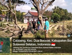 Babinsa Koramil Dua Boccoe Dan Warga Kompak Gotong Royong, Bersihkan Pohon Di Sekitar Lapangan Sepak Bola Desa Cabbeng