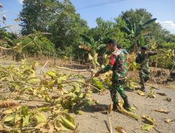 Cegah Gangguan Di Jalan, Babinsa Koramil 1407-10/Ponre Bersama Warga Laksanakan Kerja Bakti Di Desa Pattimpa