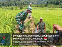 Pastikan Pengairan Sawah Berjalan, Babinsa Ramil Bontocani Kodim Bone Dampingi Petani Optimalkan Pompa Air Di Bontojai