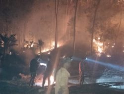 Babinsa Bersama Warga Berjibaku Padamkan Kebakaran Hutan Gunung Labalu di Bone