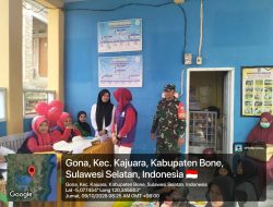 Cegah Stunting Sejak Dini, Babinsa Ramil 18/Kajuara Kodim 1407/Bone Bersama Kader Posyandu Layani Warga