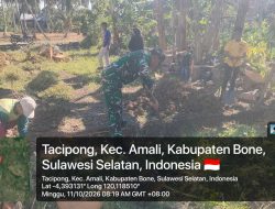 Babinsa Koramil 05 Ulaweng Kodim 1407/Bone Berbaur Dengan Warga, Bantu Gali Pondasi Rumah Di Ta’cipong
